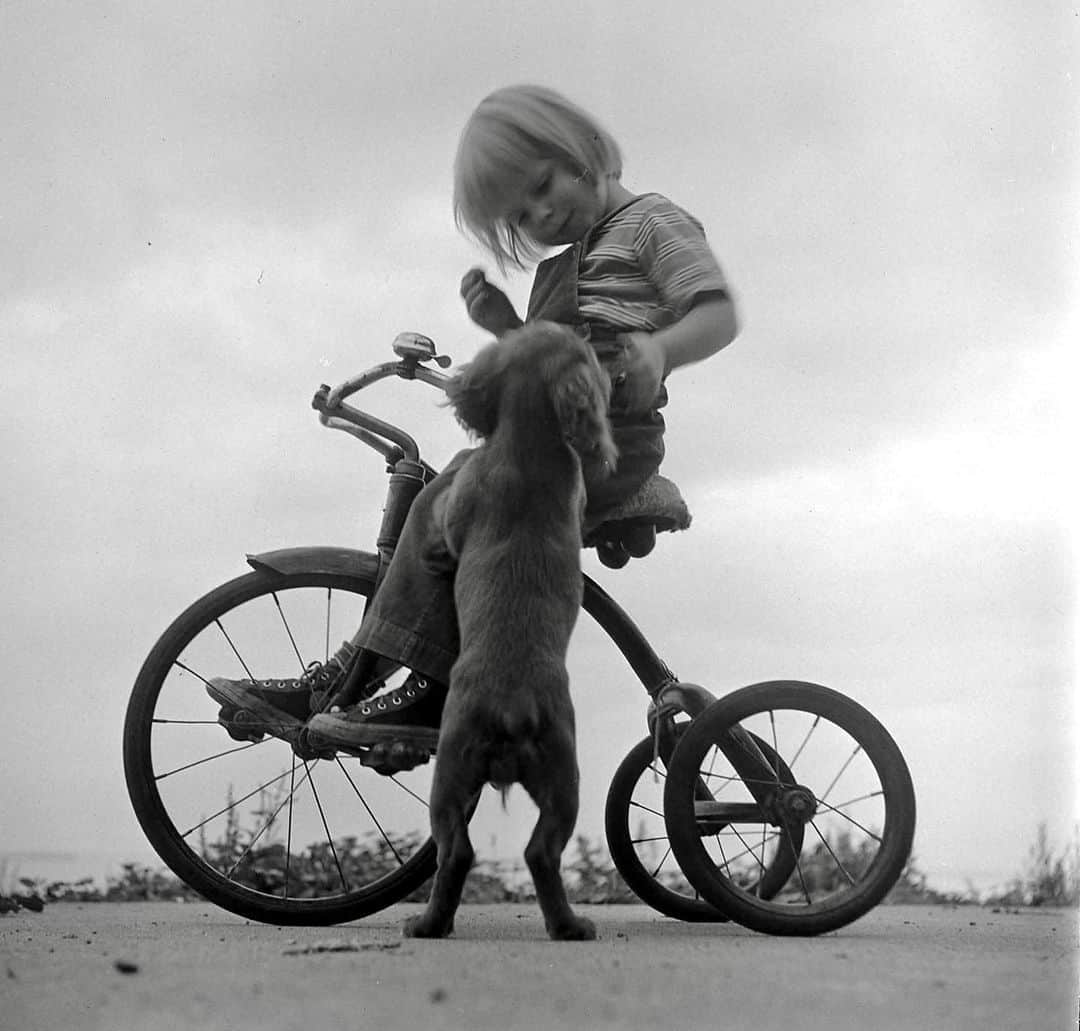 lifeのインスタグラム：「Child on a tricycle petting a precious pup, 1949! 🐾  (📷 Loomis Dean/LIFE Picture Collection)  #LIFEMagazine #LIFEArchive #LoomisDean #1940s #DogsofInstagram #Puppy #USA」