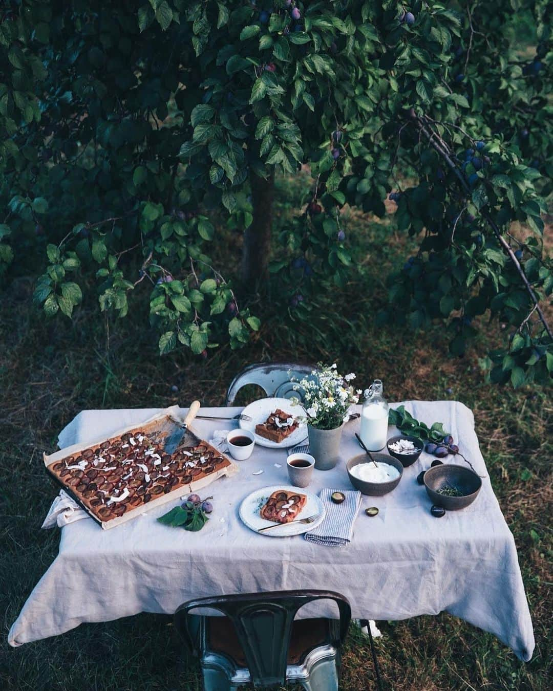 Our Food Storiesのインスタグラム：「It‘s plum season and this simple gluten-free plum cake is a favorite of ours. Get the recipe on the blog, link is in profile. 🌿 #ourfoodstories  _____ #plumcake #plumseason #glutenfri #glutenfrei #glutenfreebaking #glutenfreefood #glutenfreeliving #glutenfreerecipes #onthetable #countrysideliving #countrysidephotography #countrysidewalks #landlust #visitbrandenburg #tablesetting #tabledecor #tablescapes」