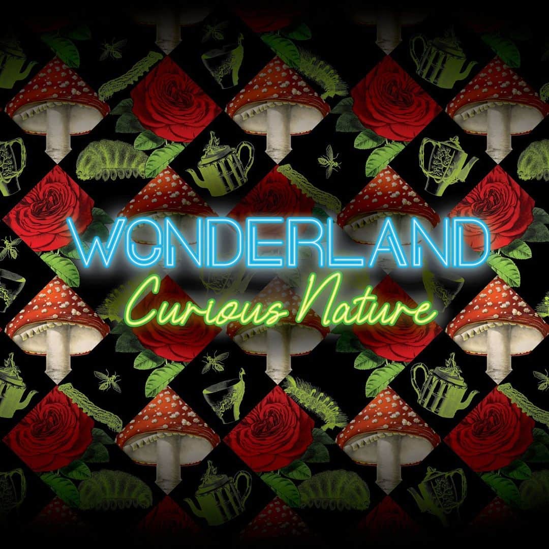 ニューヨーク植物園のインスタグラム：「Are YOU ready to venture down the rabbit hole? Join us in 2024 for Wonderland: Curious Nature! 🕳🐇🌹   Next spring at NYBG, explore our collections through a new lens during a one-of-a-kind, Garden-wide adventure through settings, sights, and scents inspired by the classic tale of Alice’s Adventures in Wonderland. You’ll choose from a variety of experiences as you embark on a journey encompassing mind-bending horticultural displays and mesmerizing and immersive art installations across our 250 acres.   Spanning spring, summer, and fall, this major exhibition invites you to discover a rose garden fit for a queen, experience moments of outsize scale and unusual perspective, and “go mad” for imaginative dining experiences, whimsical pop-ups, and so much more.   Visit the link in our bio to sign up for ticket alerts and learn more about this fantastical new Garden experience kicking off May 18, 2024!   #WonderlandNYBG」