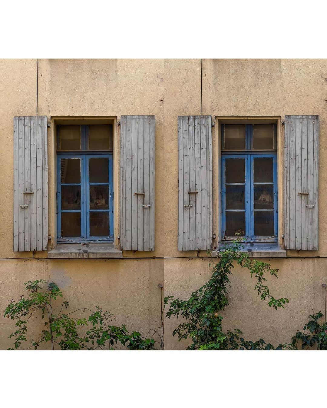 ジョン・スタンメイヤーさんのインスタグラム写真 - (ジョン・スタンメイヤーInstagram)「Continuing the fascination of that which does not exist…the quantum-elasticness where time is only our point of view. The tree outside my window in Perpignan, France, only knows growth, as we do from one past rotation around our sun to this moment called today. ⠀⠀⠀⠀⠀⠀⠀⠀ #perpignan #france #visapourlimage2023 #photofestival #outsidemywindow #oneyearlater ✨」9月7日 0時08分 - johnstanmeyer