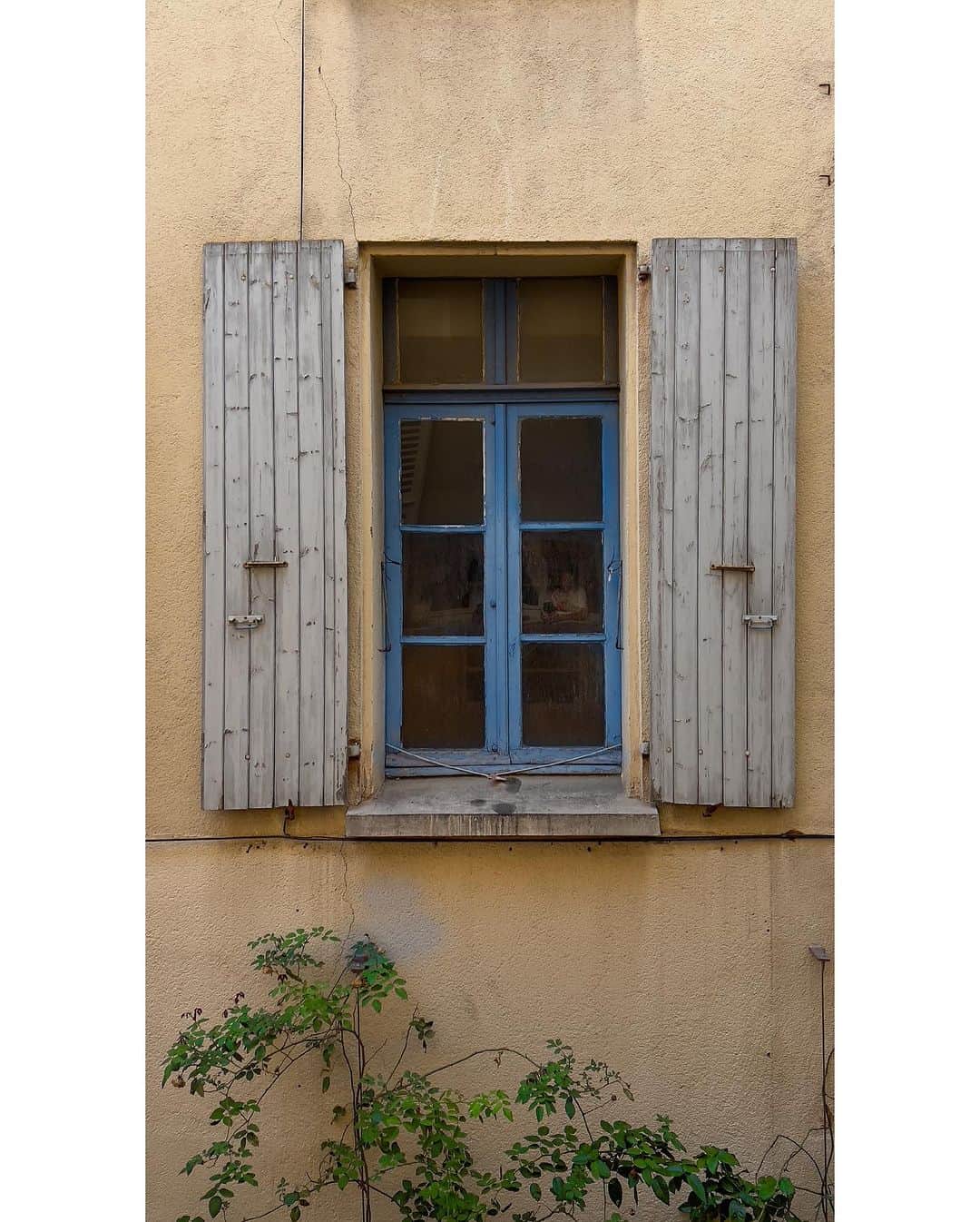 ジョン・スタンメイヤーのインスタグラム：「Continuing the fascination of that which does not exist…the quantum-elasticness where time is only our point of view. The tree outside my window in Perpignan, France, only knows growth, as we do from one past rotation around our sun to this moment called today. ⠀⠀⠀⠀⠀⠀⠀⠀ #perpignan #france #visapourlimage2023 #photofestival #outsidemywindow #oneyearlater ✨」