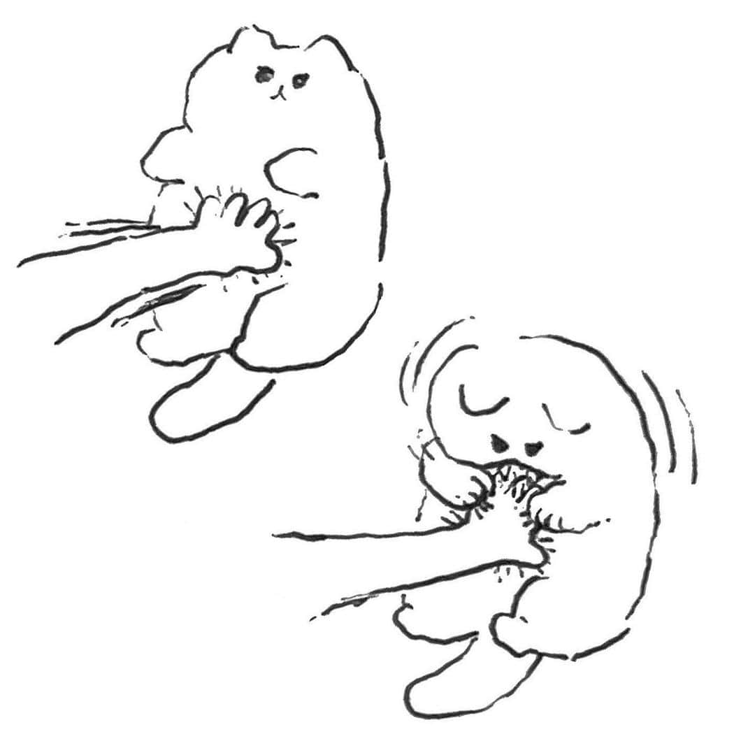 花原史樹のインスタグラム