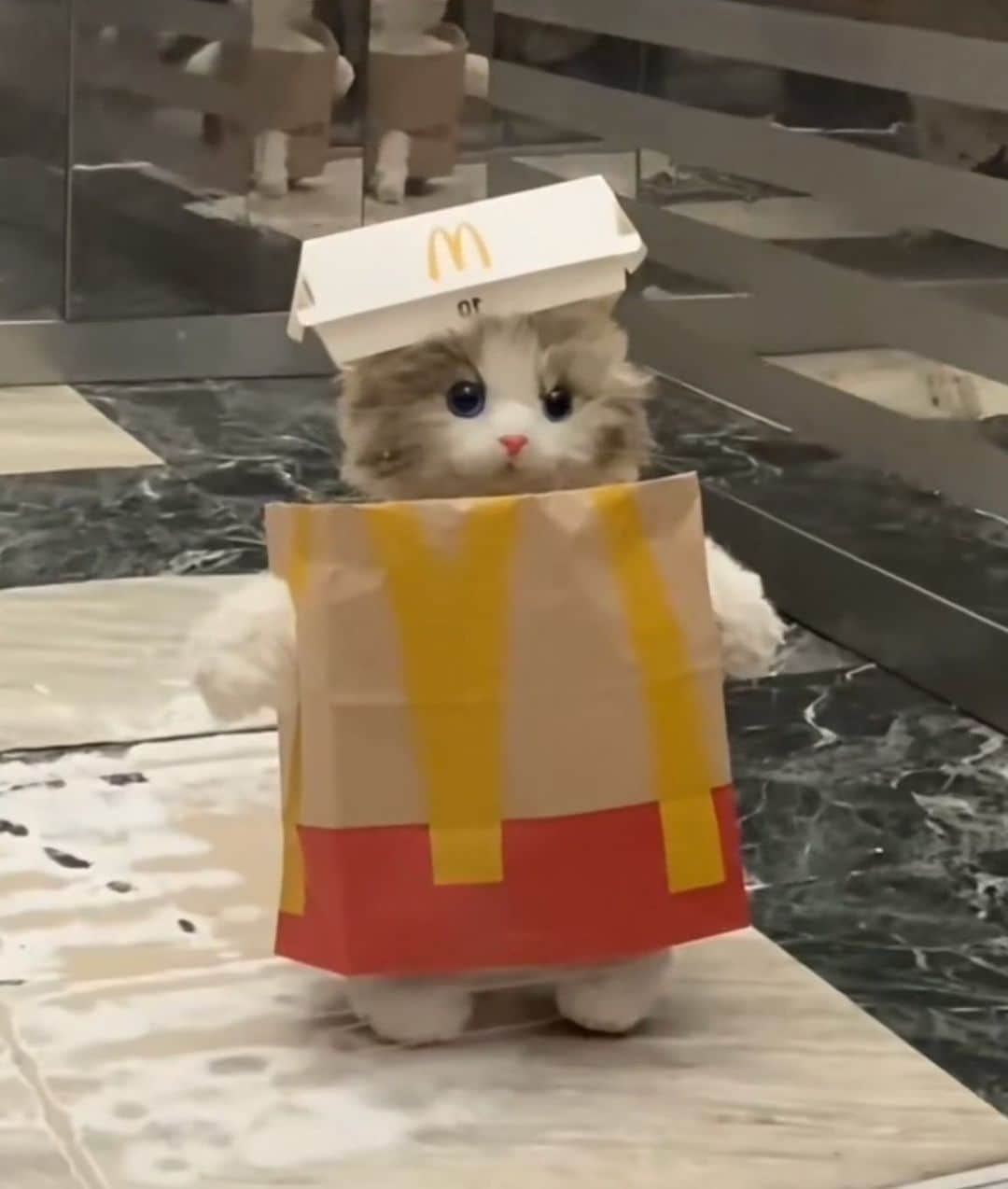 マクドナルドさんのインスタグラム写真 - (マクドナルドInstagram)「when ur being mean to me this is who ur being mean to」9月7日 1時04分 - mcdonalds