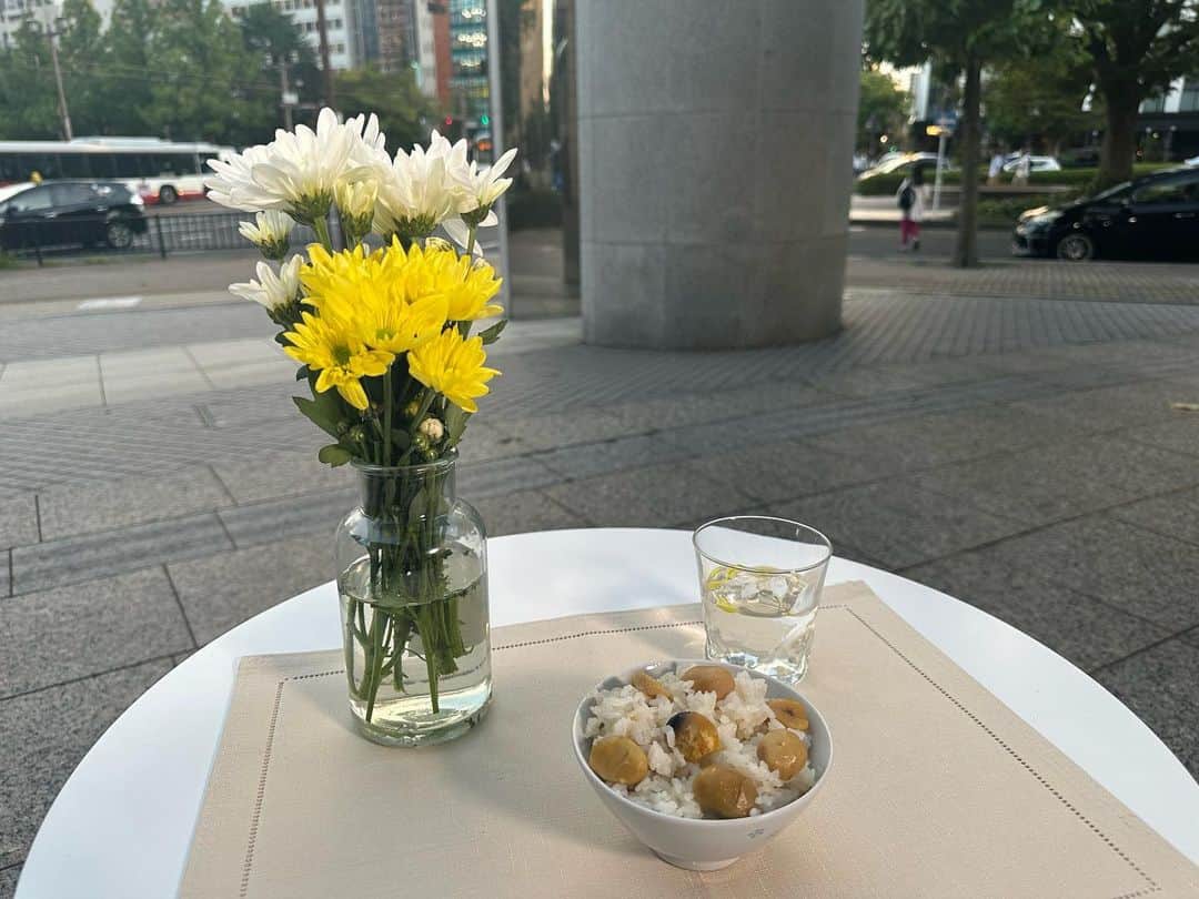 大隅智子さんのインスタグラム写真 - (大隅智子Instagram)「中継で、9日（土）の「重陽の節句」についてお伝えしました。 9月9日で、数字の大きな9が重なるため、とてもおめでたい日とされました。 「菊の節句」とも呼ばれます。 菊の花や菊のお酒で、邪気を払い、不老長寿を願いました。 秋の味覚の栗ごはんを食べて祝う風習もあったそうです。 #重陽の節句　#菊の節句　#菊の花　#菊のお酒　#栗ごはん」9月7日 10時29分 - tomokotenki