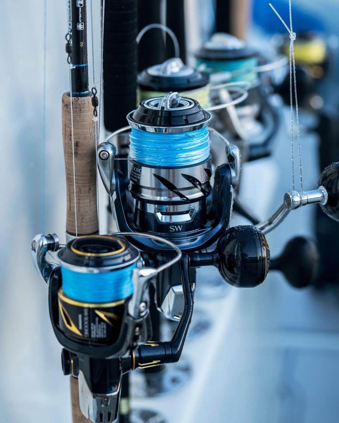 シマノ｜Fishingのインスタグラム：「A lineup of iconic saltwater powerhouses.  #FishShimano #TwinPowerSW #StellaSW #Saragosa #ShimanoReels #OffshoreFishing #Shimano #SaltwaterFishing」