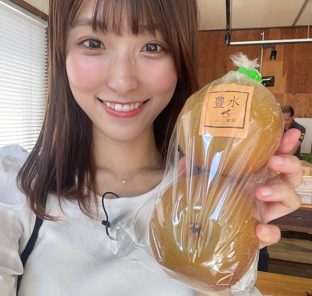 白木愛奈さんのインスタグラム写真 - (白木愛奈Instagram)「前回のてくてくみっけ旅は、 静岡市駿河区長田地区へ✨🍑  長田と言えば桃が有名ですが、この時期は梨もおいしいです🍐 暑い中歩いていたので、#杉山農園 さんで、豊水も長十郎も、フローズンドリンクも夢中で食べました😋  そのあとは歩いてすぐ近くの、 #芝原商店 へ！ なんとお弁当が280円！？お惣菜も激安で、お客さんがひっきりなしに訪れていました☺️  てくてく歩いて #増田種苗店 へ🚶‍♀️ お花屋さんだと思っていたので、店内ににんにくやジャガイモが置いてあるのはびっくりしましたが、1から自分で育てるのもとても楽しそうですね✨  しおかぜクラブの千葉さんが教えてくれた絶景を楽しんだあとは…  #静岡トランポリンクラブ へ！！ はじめてのトランポリンに挑戦させてもらいました😳 自分としては高く飛んでいるように思ったんですが、出来上がった映像を見て、、30センチくらいしか飛んでない🤣 難しさを再認識しましたし、レベルの高い子供たちに圧倒されました！  日本代表の海野大透さんにもお話が聞けました！🎌  暑さも忘れる、楽しい旅でした〜😊  #長田 #用宗 #長田の梨 #用宗観光 #てくてくみっけ旅 #静岡観光 #絶景」9月7日 11時04分 - shiraki_mana