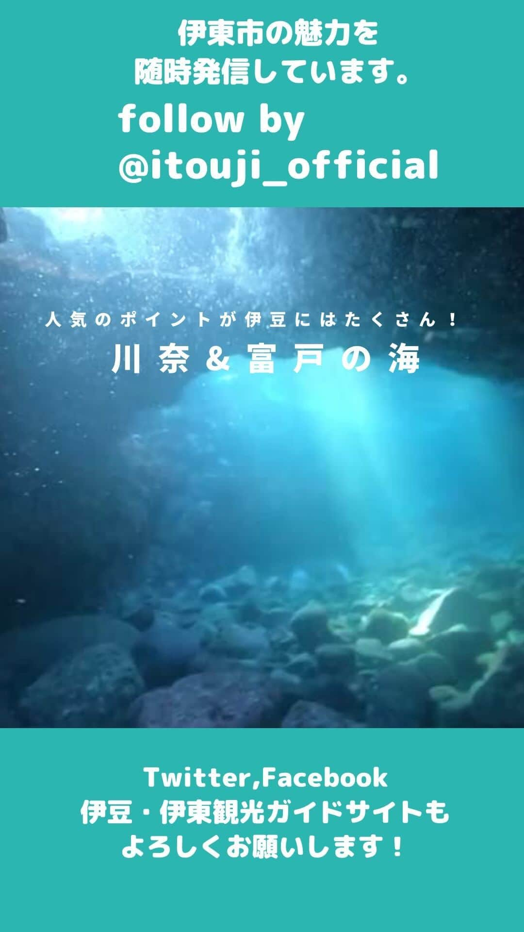 伊東市公式アカウントのインスタグラム：「他の投稿はこちらから → @itouji_official   【ダイバーに人気のポイントが伊豆にはたくさん！川奈&富戸の海】  今回は、地元のダイバーさんが撮影された海の映像をお届けします😄！ 伊東の海は透明度が高く、火山地形が魅力的な海🌊✨  伊東市にはダイビングのポイントが、宇佐美・伊東・川奈・富戸・八幡野・赤沢・伊豆海洋公園などたくさんあります。 ダイビングショップも数多くあるので、興味ある方はぜひ相談してみてはいかがでしょうか！🤿✨  映像提供: MORE企画 @more_planning_izu Yumi.Sさん @wwfs61  ＊＊＊＊＊＊＊＊＊＊＊＊＊＊＊＊ 近隣のダイビングサービス情報  【富戸ダイビングサービス】 @futo_divingservice  [ポイント名] ヨコバマ、わきの浜（ビーチエントリー） ※ボートポイントもあり  【川奈ダイビングサービス】 @kawana_diving_service  [ポイント名] 川奈ビーチ（ビーチエントリー） ※ボートポイントもあり  ダイビングをしたい時は、ポイントの近くにある各ダイビングショップに相談してみてください。  ＊＊＊＊＊＊＊＊＊＊＊＊＊＊＊＊  ＜川奈イベント情報＞ 川奈・いるか浜ビーチクリーン 📍日時: 9/16（土）10:00〜14:00まで予定 📍内容: 海の生き物観察会・海ゴミアート体験・リサイクル展示 📍参加費:無料 📍場所: 伊東市川奈699-2  ＊＊＊＊＊＊＊＊＊＊＊＊＊＊＊＊  #ウミガメ #seaturtle  #ダイビング #ダイビング女子 #ダイバーズウォッチ #ダイバー #diving #divinglife #divingphoto  #川奈 #富戸 #ヨコバマ #川奈ビーチ  #わたしといとうと　#静岡県　#伊東市　#伊豆　 #伊東温泉　#伊東旅行　#伊豆旅行　#いいね伊豆　 #旅行好きな人と繋がりたい #旅スタグラム　#日帰り旅行 #地域おこし協力隊　が投稿してるよ🌱 #izu #ito_stagram #ito #izutrip #itocity」