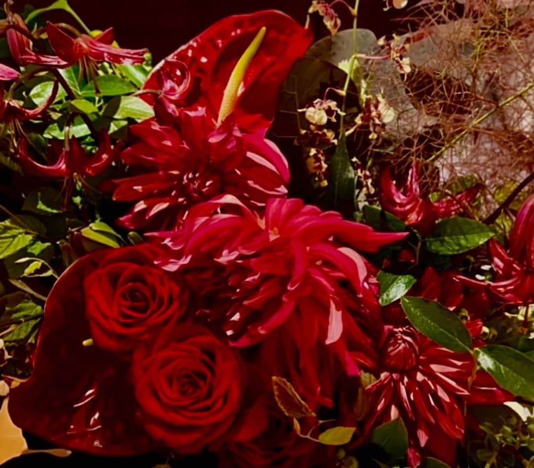 夏木マリのインスタグラム：「#お花シリーズ #9.16 #日比谷野音 #tokyojunkboogie  #september   今日はどんな日にする？ よい日をね〜」