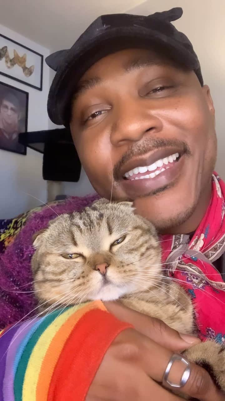 のインスタグラム：「We just wanted to say HI, we LOVE YOU, thanks for loving your cats and thanks for being nice❤️ have a wonderful day #LilParmesan #TheCatRapper #CatMan #CatMom #CatLady #CatDad #MoGang」
