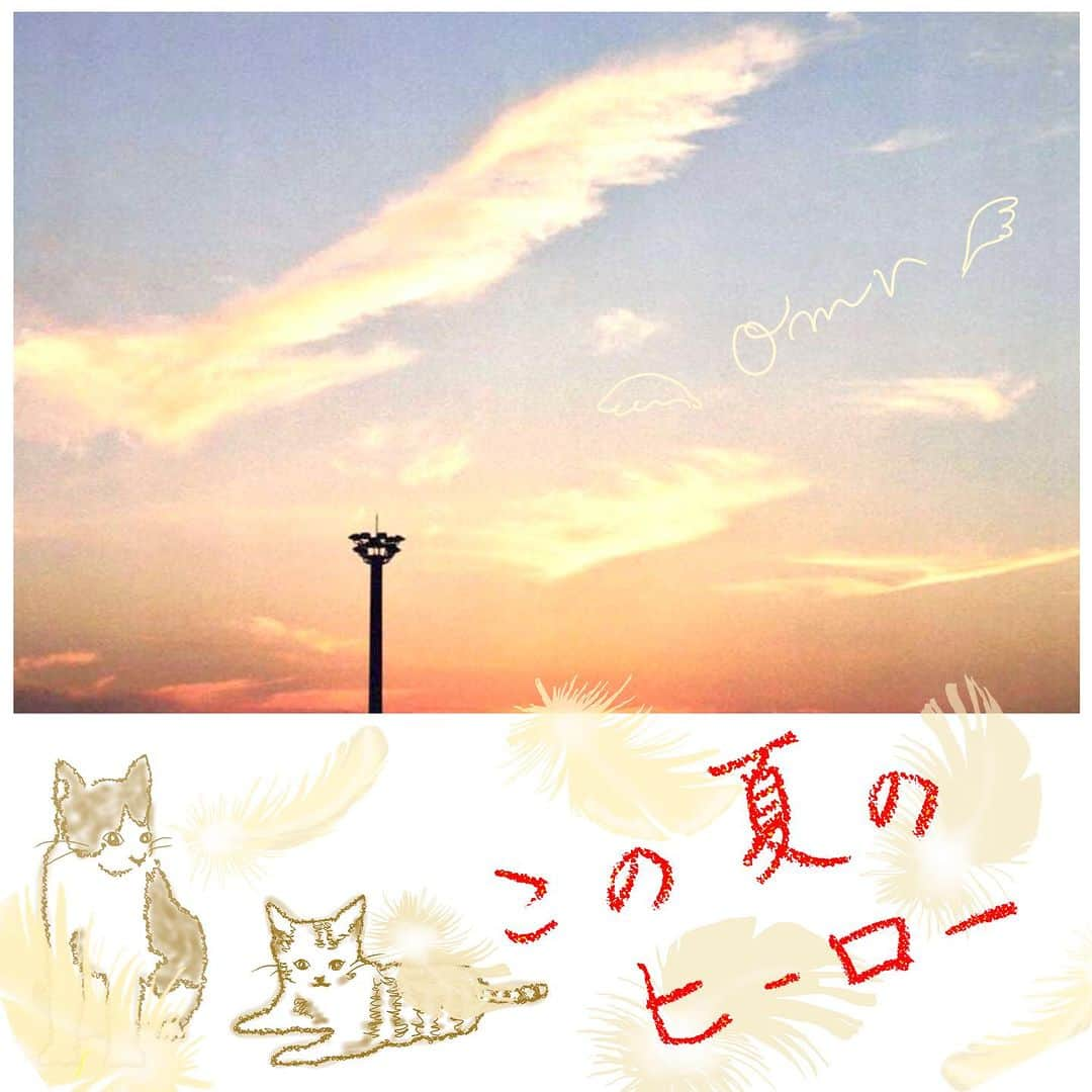 満島真之介のインスタグラム：「🌻本日、New Single リリース🌻  ┏─── Omr ───┓ 　 　 　 　   『この夏のヒーロー』  ┗─────────┛  今年の夏が終わる.. ஐ  優しい風が、実態のない寂しさと儚い美しさを連れてくる。  〜 しぶきを上げる波 〜 〜 みどり深まる山 〜 〜 東から昇る朝陽 〜  日本の夏はとてつもなく美しい  「夢に溢れた夏だった」  澄んだ瞳で眺める真っ赤な夕陽は、純白の心に思い出の色をつける。  ひとりひとりが、この夏のヒーローなんだ。  この瞬間にしかない奇跡の景色を胸に、ここから未来へ！ 一緒に大空へと飛び立とう。  英語で刻んだ 「Summer  Dreamy」が更なる進化を遂げました。  日本の夏の終わりの香り漂わせ、 あなたに捧げるこの夏最後の、贈り物..🎁✨  じっくり、ゆったり 『あなただけの夏』を思い返しながら聴いてもらえると嬉しいです。  #Omr #この夏のヒーロー #満島真之介 #yuqi  ▼各種サブスク▼ https://linkco.re/GPU76zRx?lang=ja」