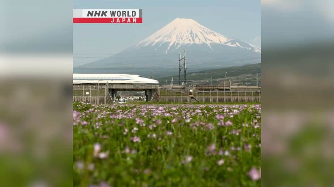 NHK「WORLD-JAPAN」のインスタグラム