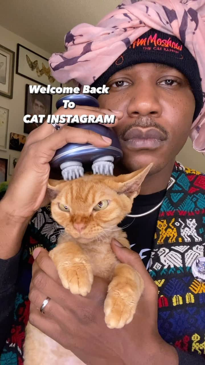 MSHO™(The Cat Rapper) のインスタグラム：「Welcome back to the greatest place on the planet!!! This is the place to leave all the stress and come relax with your kitties!!! COMMENT if you want MORE!!! The choice is in YOUR PAWS ❤️ #ASMR #TheCatRapper #Zen #Meditation #Calm #Zen #Relax #ASMR #MoGang」