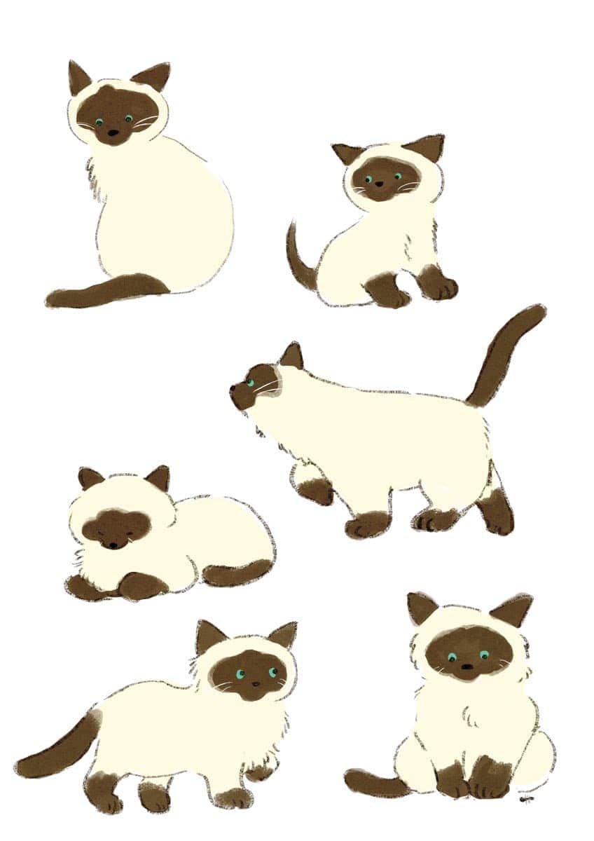 momoroのインスタグラム