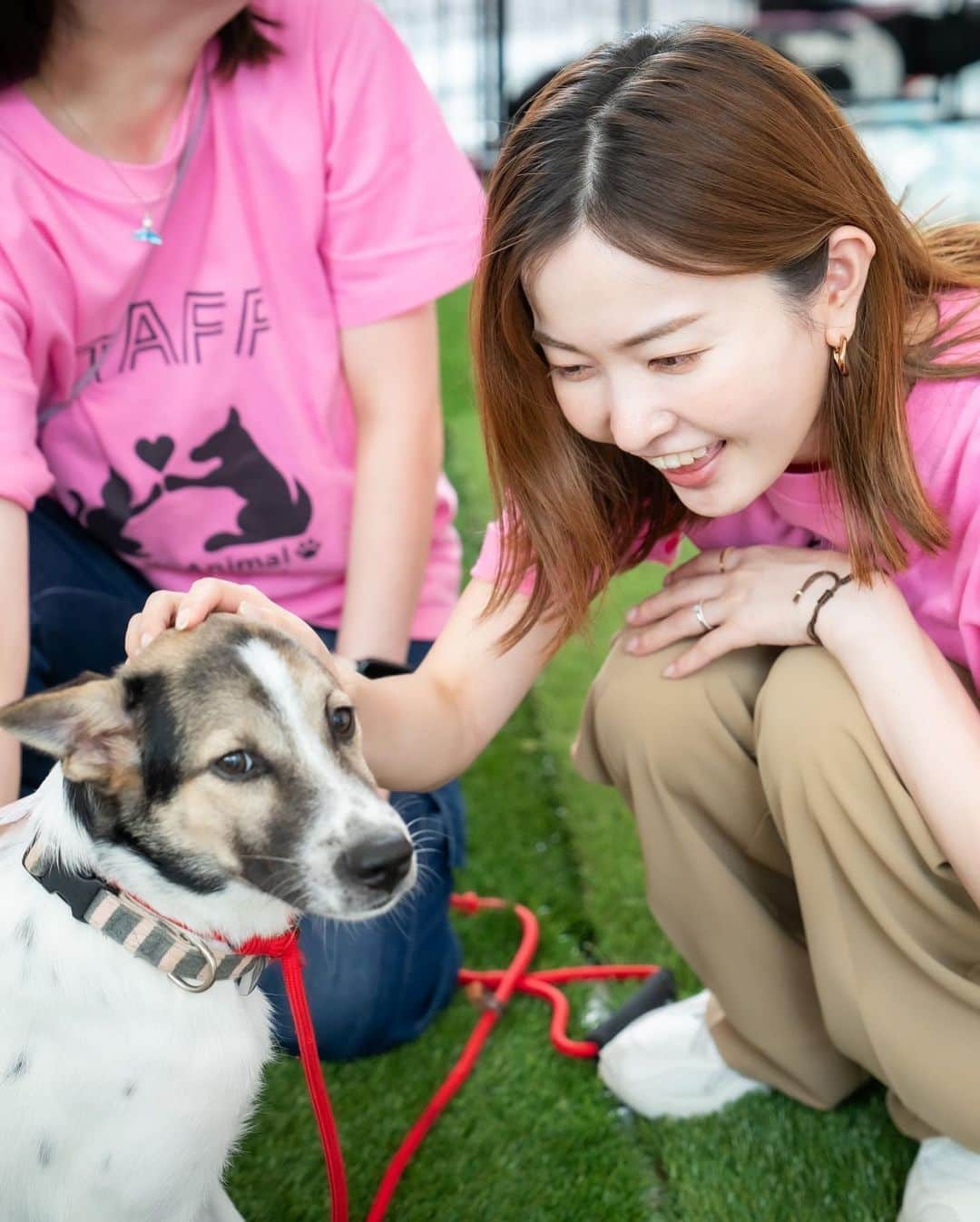 桐山マキさんのインスタグラム写真 - (桐山マキInstagram)「. . . 🐺♡  @ayumi_jo  さん家の 可愛いるんちゃん♡  ぶーちゃんと同期で 同じ日にレスキューされ アユミさんがシャンプーしてくれたそうです🧴 沢山の手により こうして それぞれの人生を歩んでいる。  イベントでは ステキなご縁を探すべく 保護団体さんの可愛子ちゃん達が シャンプーして おめかしして参加してくれます✨  私も イベント数日前に 眉毛とまつ毛のお手入れへ 渋谷でおよそ40分で クイックおめかし🪄 しにいきました🤭 @neu_eyebrow  @hyangsuk0405   イベントの 写真を見ると みんな笑顔♡  ステキな写真は @photostudio.starship  Thank you♡  #wolflady #rescuedog  #みんな #おめかし参加 #私もおめかし #眉毛癖改善  #ハリウッドブロウリフト  #まつ毛パーマ #渋谷 #最短20分らしい #便利 #ありがたや #🪄」9月7日 7時48分 - maki_kiriyama