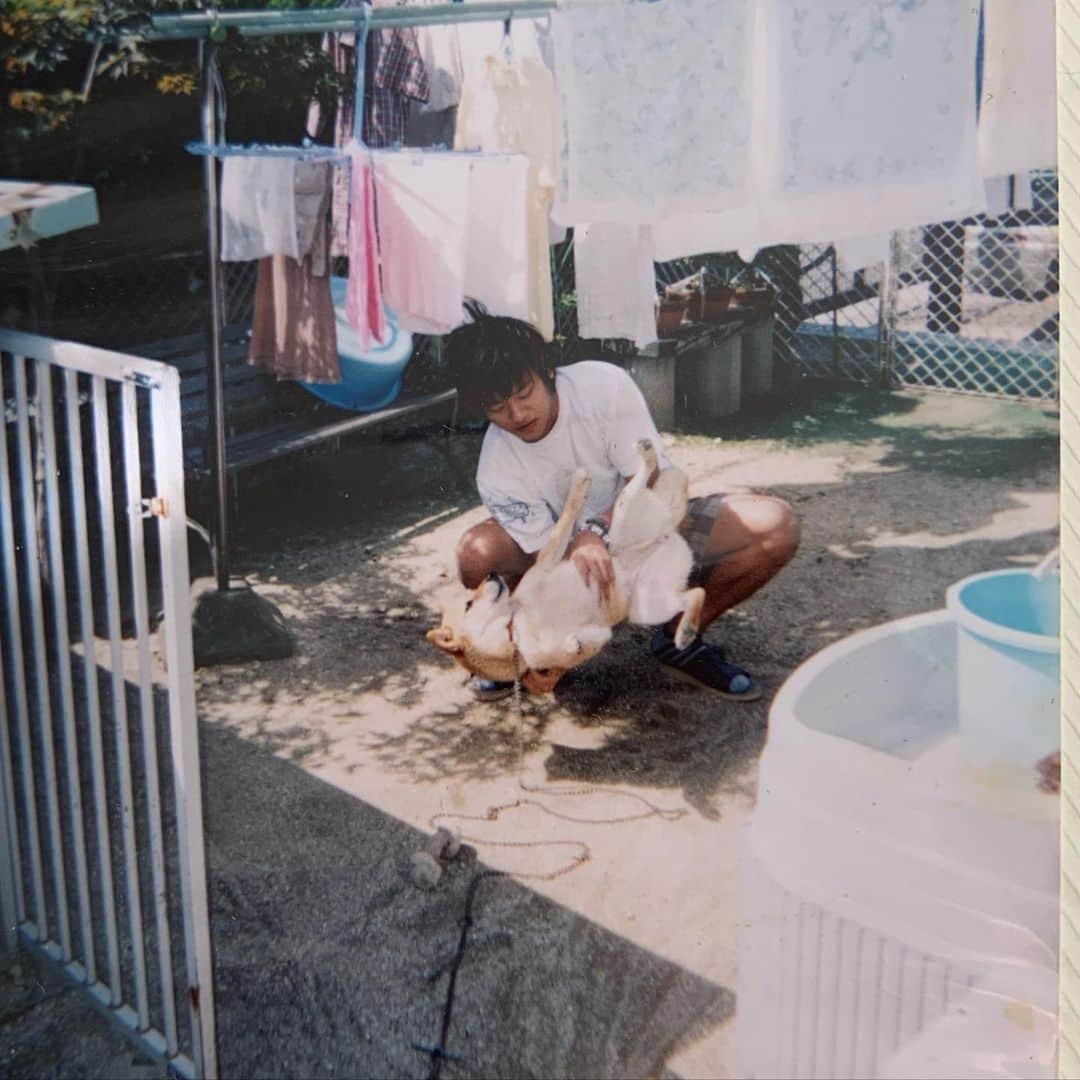 小田和奏のインスタグラム：「今日東京に戻ります。 写真こそいろんな思い出が宿ってます。 いつかのアタシと愛犬・茶々。  今回の帰省もあったかい時間でした！ また次回を楽しみに励みます！  東京でバキバキに音楽作りまくる！」