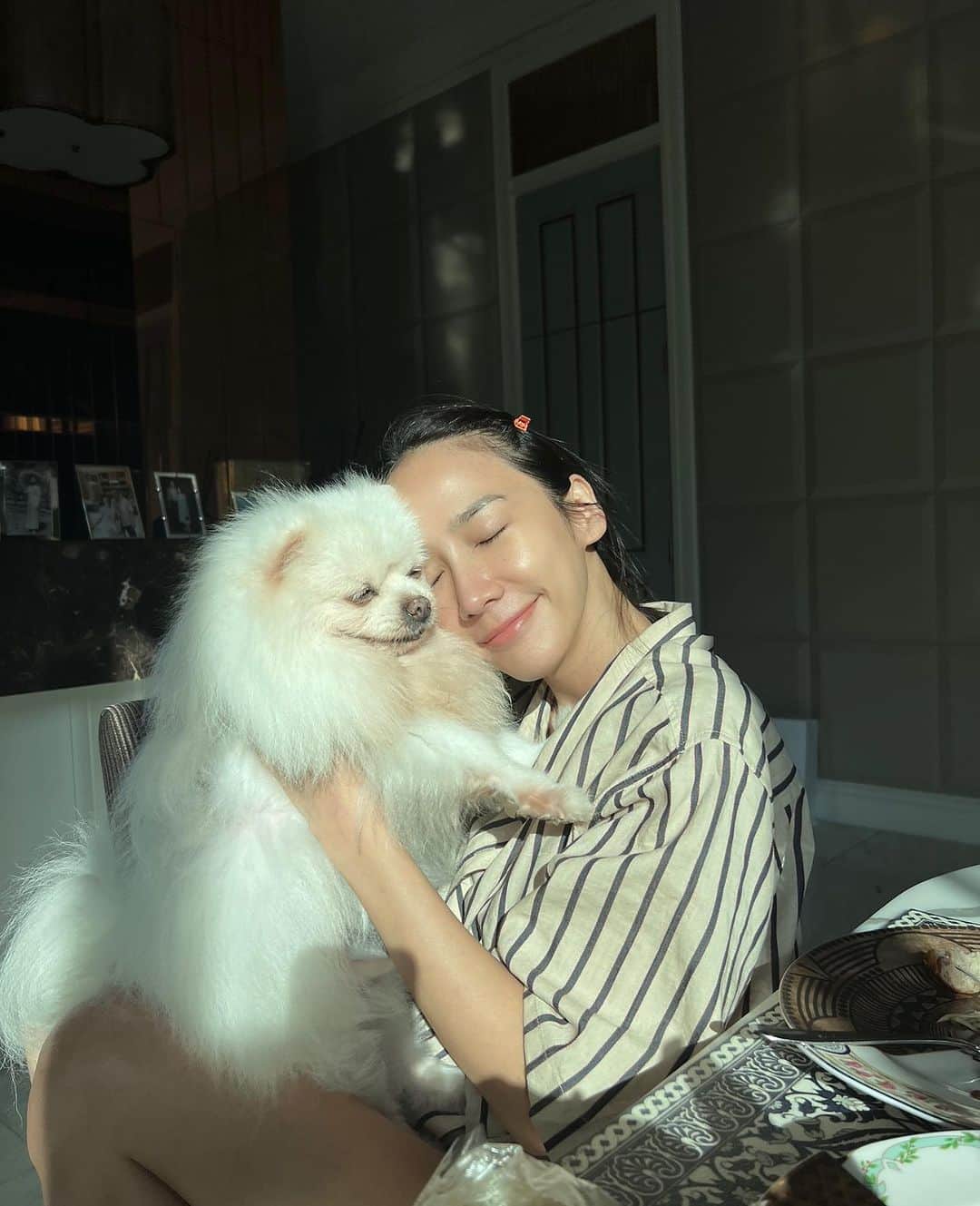 アム・パチャラパーのインスタグラム：「จากกัน1ปีแล้ว ยังคิดถึงทุกวันเหมือนเดิม❤️ ทำบุญให้น้องๆทุกตัวที่จากไป รักตลอดไป ไตเติ้ล ปอมๆ กีต้าร์ ไอติม การ์ตูน กัปตัน น้ำตาล  ขอบคุณ @sermboon999 นะคะ สั่งสังฆทานไม่เคยผิดหวังเลยจริงๆ」