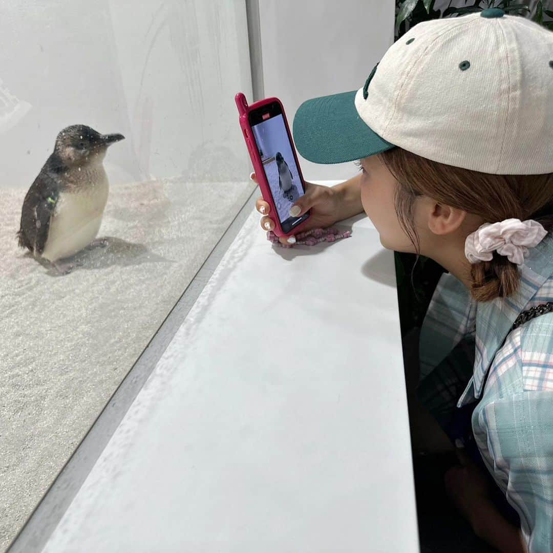 水嶋ひかるのインスタグラム：「🐧🖤癒されたあ . #aoaosapporo #水族館 #北海道観光 #札幌 #札幌観光 #今日は何の日 #クリーナーの日」