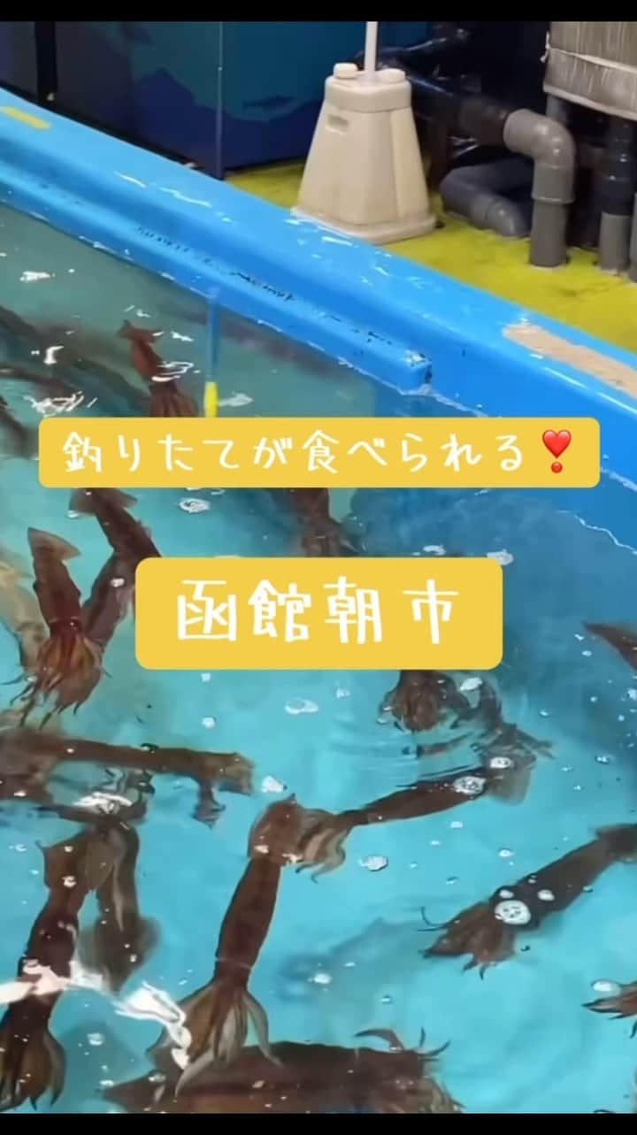 佐藤ミキのインスタグラム