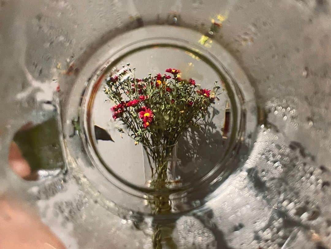 ソ・シネのインスタグラム：「🎼☕️💐」