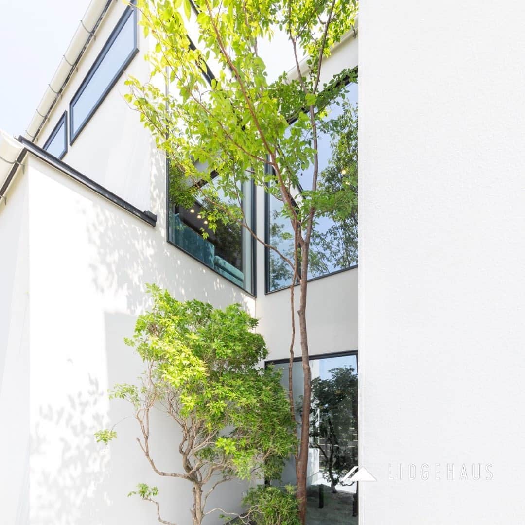 ONLY ONE HOUSE 株式会社 新谷組さんのインスタグラム写真 - (ONLY ONE HOUSE 株式会社 新谷組Instagram)「*  家で働き、家で遊ぶ。 @vacances.kyoto の家🌴  高性能は当たり前に、 デザインと遊びゴコロを兼ね備えた#規格外住宅 が @lidgehaus にはございます。  日常と非日常が融合する空間を あなたの手に。  -------------------------------------- more photos...▷▷ @lidgehaus  follow me🕊 --------------------------------------  私たち#リッジハウス の目指すべき姿。 それは、「住まいの創造を通して 幸せな家族の未来を創出する」こと。  家を手に入れた満足よりも、 住んでからの満足を永続的に味わう。  そのために何気ない日常に 幸せを感じられる、 “あなたらしさ”を大切にした #家づくり のお手伝いをしたい。  そんな想いから #LIDGEHAUS は誕生しました🌱  Life is Designed General Enjoyment. ー 幸せは、いつも 何気ない日常にある。ー  #工務店 #新築 #一戸建て #マイホーム #マイホーム計画 #注文住宅 #デザイン住宅 #おおい町 #舞鶴市 #高浜町 #小浜市 #敦賀市 #若狭町 #美浜町 #嶺南 #リビングインテリア #植栽 #レッドシダー #ヒメシャラ」9月7日 20時29分 - lidgehaus
