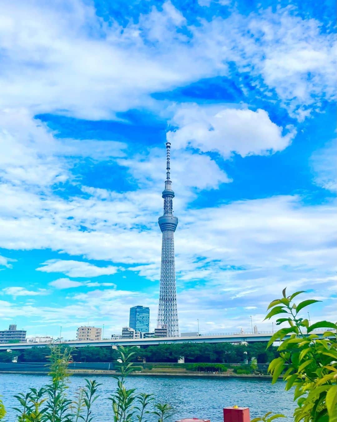 水原ゆきのインスタグラム：「こないだ見かけたスカイツリーと空がめちゃめちゃ綺麗で、 撮れた写真が綺麗すぎて泣きそうになった(*´-`)  涙もろくなるとはこういうことね(*´-`)笑  綺麗すぎない？(´ω`)  #東京スカイツリー #風景写真 #青空」