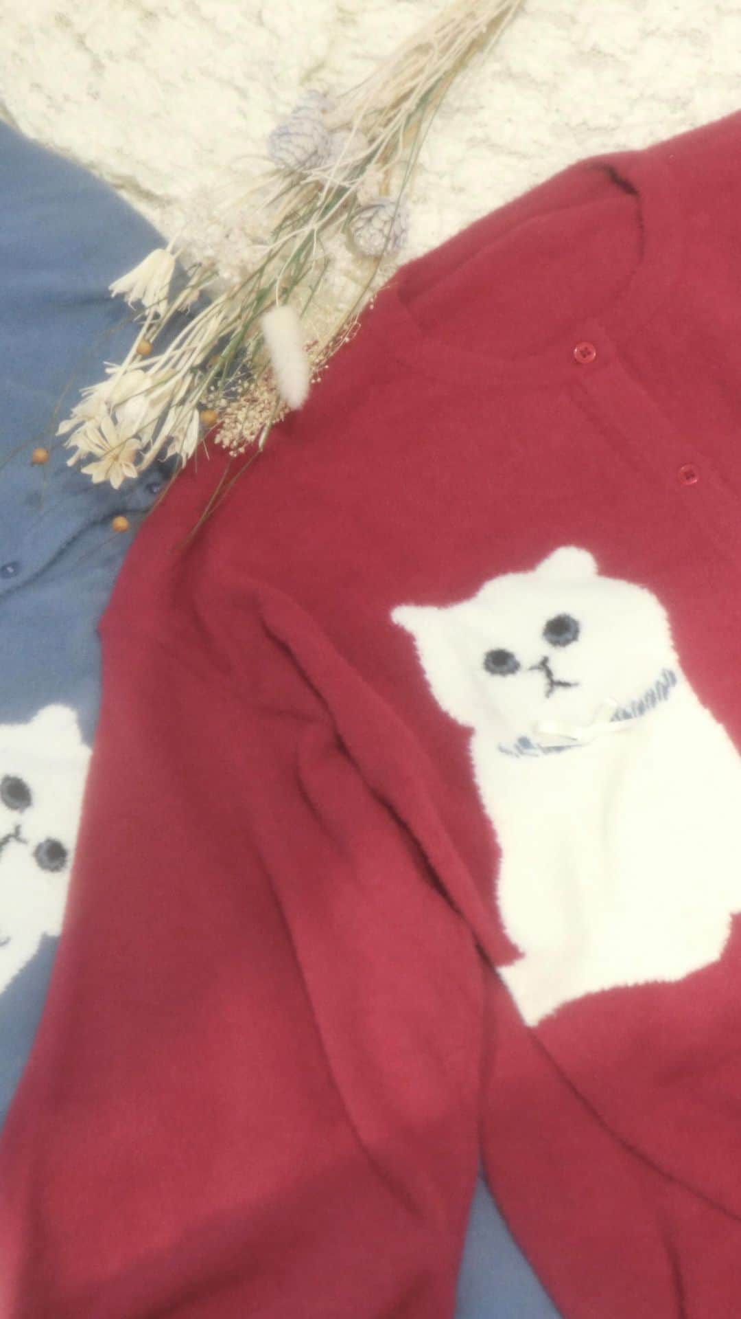 merry jennyのインスタグラム：「【 recommend ! 】 ㅤㅤㅤㅤㅤㅤㅤㅤㅤㅤㅤㅤㅤ 秋のおすすめitem！ topのURLから⇨  @merryjenny_instagram  ぜひcheckして下さいね！ㅤㅤㅤㅤㅤㅤㅤㅤ   〇 cat×cat カーディガン col : red / blue / black ¥ 9,900 (tax in)  カーディガンとしてはもちろん、ボタンを閉めて topsとしての着用もおすすめです♡  　 #merryjenny # メリージェニー  #2023aw #autumn #dreamwell #ねこ #カーディガン #ガーリー #カーディガン」