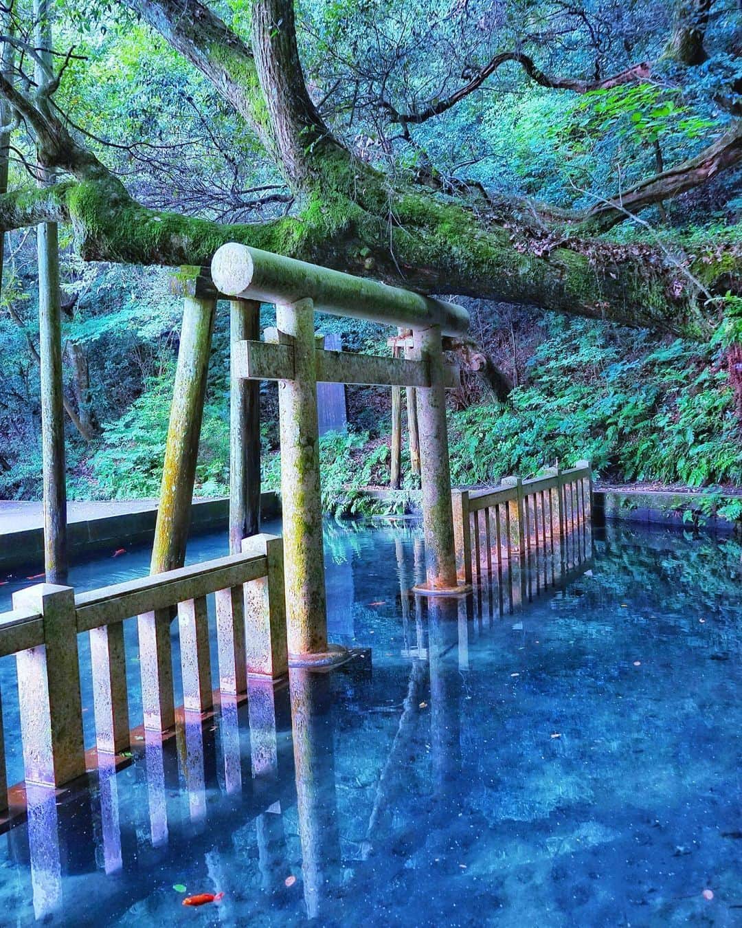 旅行メディア・じゃらん〈公式〉のインスタグラム