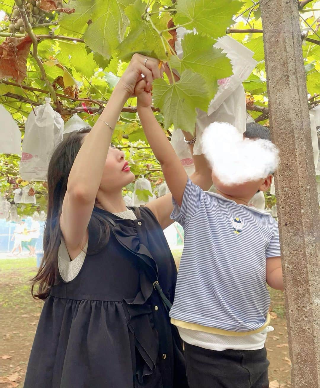 越馬千春さんのインスタグラム写真 - (越馬千春Instagram)「. 初めてのぶどう狩りへ🍇🤍  いちご狩り、ブルーベリー狩りが大好きなので、ぶどう狩りも楽しんでくれました✨🍇 連れてきた甲斐がありました👦🏻👦🏻🩵 スムージーも飲めて大満足🍇  #ぶどう狩り#ぶどう#巨峰#シャインマスカット#男の子ママ#👩🏻#ママライフ#ママ#育児日記#年子育児#年子兄弟#年子兄弟#4歳男の子#2歳男の子」9月7日 21時01分 - chiharukoshiba