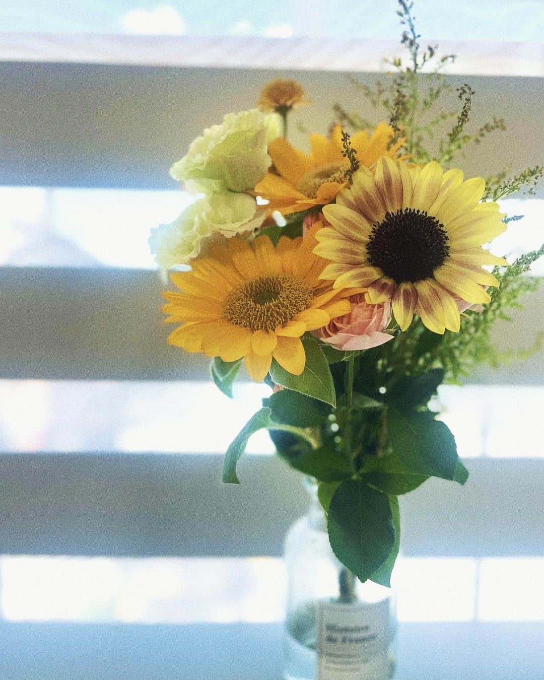 山本夢さんのインスタグラム写真 - (山本夢Instagram)「夏の終わりの 大好きなお花🌻  #september  #向日葵」9月7日 12時15分 - yume_yamamoto_ue