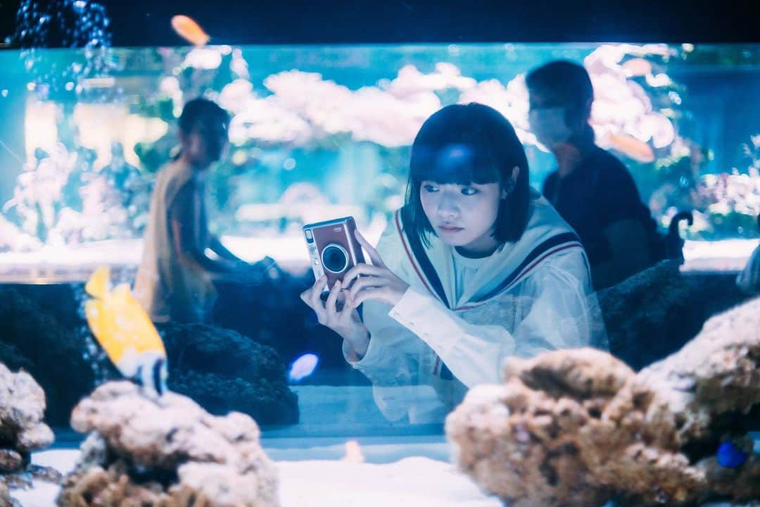 Fujifilm instaxのインスタグラム：「\ Webマガジン『Cheki Press』で公開中！🐧//  モデル・Tsugumiさんと「すみだ水族館」ツアー。Evo片手に狙う“推し“魚のベストショット @tsugumi_jp @sumida_aquarium_   https://magazine.instax.jp/cheki-press/interview/36228/( @cheki_instax )  photo by Kana Tarumi -—————  チェキで撮影した写真に当アカウントのタグ付を行い、 #チェキ #instax を付けて投稿してください📷✨ 素敵な写真は、本アカウントにてご紹介をさせて頂きます！ あなたの #チェキ活用術 も募集中です🌟  -—————  #dontjusttakegive #FUJIFILM #富士フイルム #cheki #インスタックス #マイチェキ #チェキのある生活 #チェキスタグラム #チェキジェニック #チェキ好きな人と繋がりたい #フィルムカメラのある生活 #フィルムカメラ」