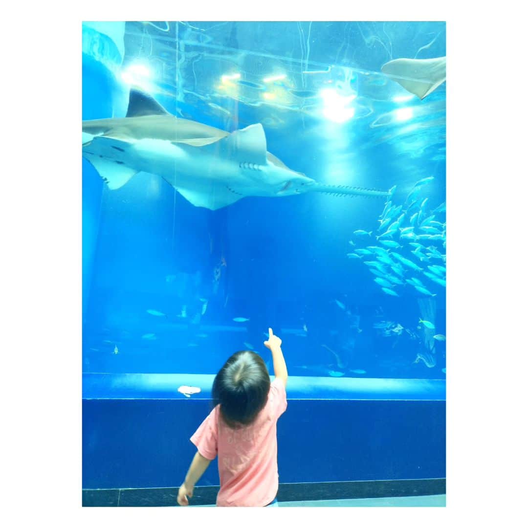 しじみのインスタグラム：「死の原さんと品川のアクアパーク行ってきた🐬子守りに付き合ってもらえるの本当有り難い♡」