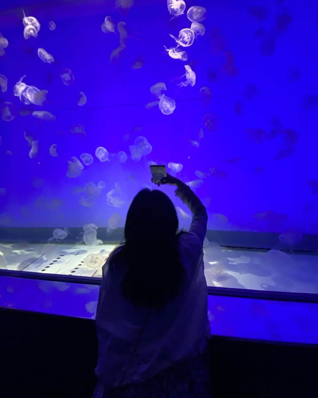 川島鈴遥のインスタグラム：「. 水族館と海鮮🐟🦞🐡🌊  とっても癒された1日」