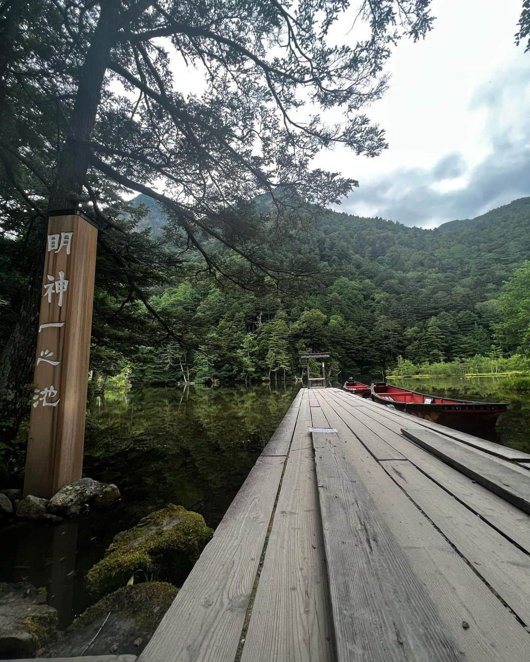 鳥越裕貴さんのインスタグラム写真 - (鳥越裕貴Instagram)「⛩️ #籠神社 #眞名井神社 #出雲大神宮  #貴船神社  #上賀茂神社 #写真はないけど下鴨神社も行ったよ #安房神社 #洲崎神社  #穗高神社  #不二阿祖山太神宮  #戸隠神社 五社  #ここ最近お参りできた #神社 #京都 #千葉 #長野 #神社巡り #感謝」9月7日 13時04分 - yuki_torigoe.cleftchin