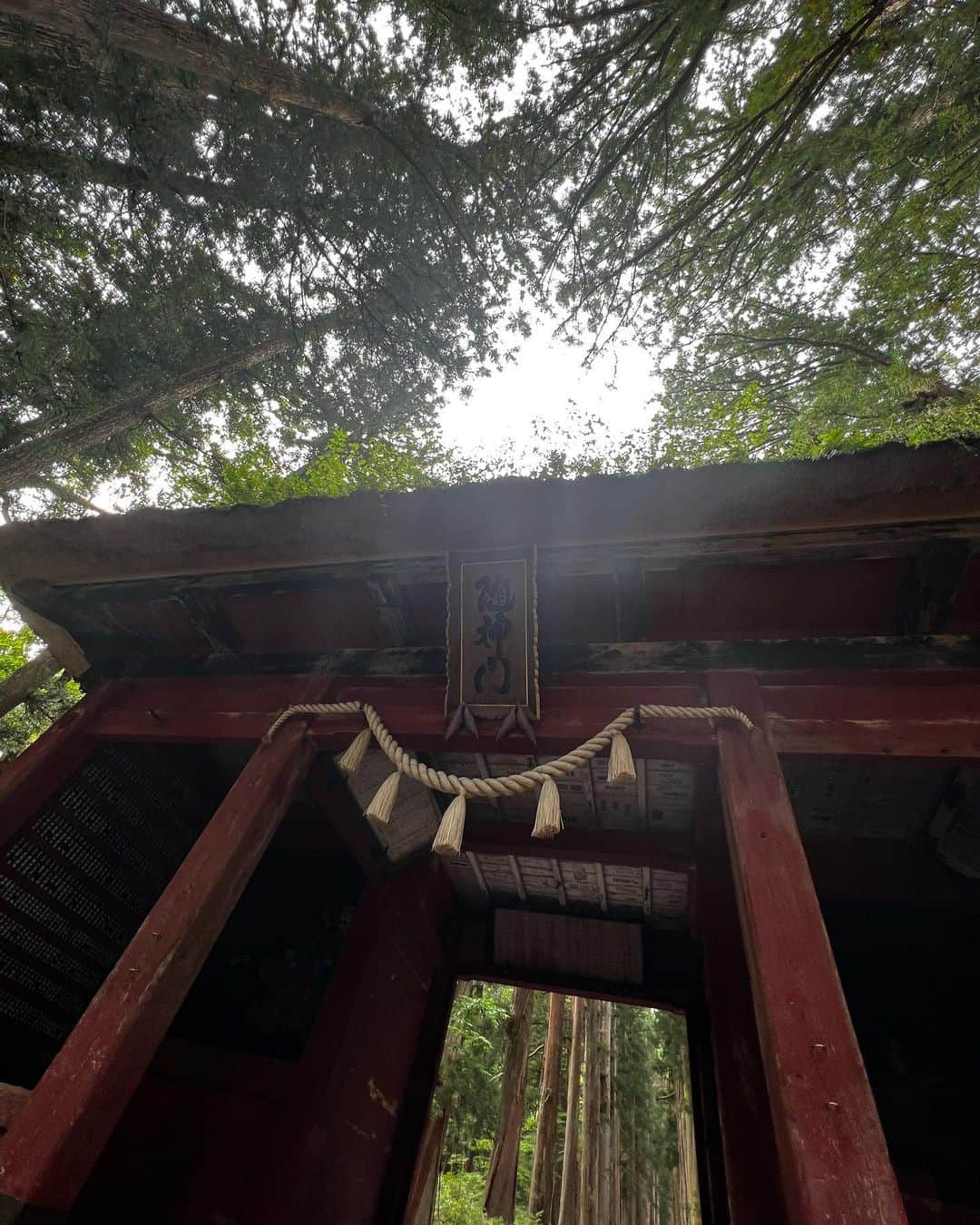 鳥越裕貴さんのインスタグラム写真 - (鳥越裕貴Instagram)「⛩️ #籠神社 #眞名井神社 #出雲大神宮  #貴船神社  #上賀茂神社 #写真はないけど下鴨神社も行ったよ #安房神社 #洲崎神社  #穗高神社  #不二阿祖山太神宮  #戸隠神社 五社  #ここ最近お参りできた #神社 #京都 #千葉 #長野 #神社巡り #感謝」9月7日 13時04分 - yuki_torigoe.cleftchin