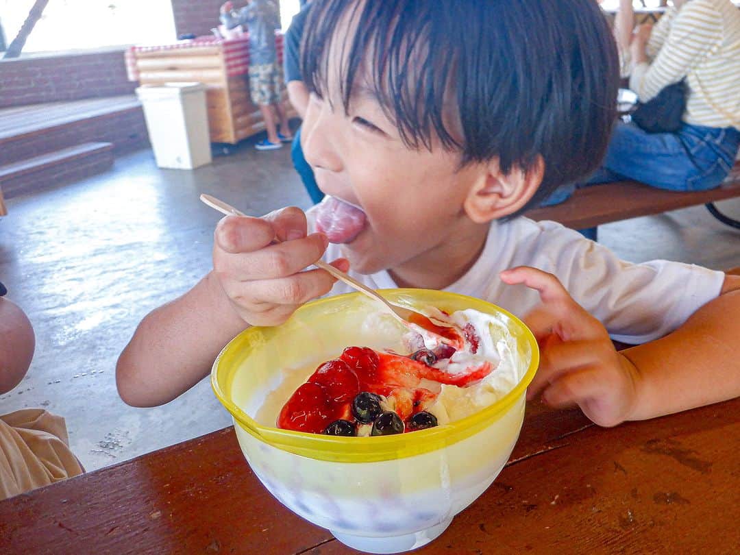 のインスタグラム：「【伊勢志摩エバーグレイズ】 先日のシェイクアイスサンデーの様子🍨🇺🇸 音楽に合わせてシェイク!✨🎶 とっても美味しそうなアイスが出来上がりました😋👍✨  #伊勢志摩エバーグレイズ #グランピング #エバキャン #グランピング #アメリカン #アウトドア #リゾート #キャンプ #三重県 #伊勢志摩 #志摩市 #三重旅行  #ファミリーキャンプ #ファミキャン #オートキャンプ #三重県キャンプ場 #犬とキャンプ #everglades #glamping #resort #camping #camp #iseshima」