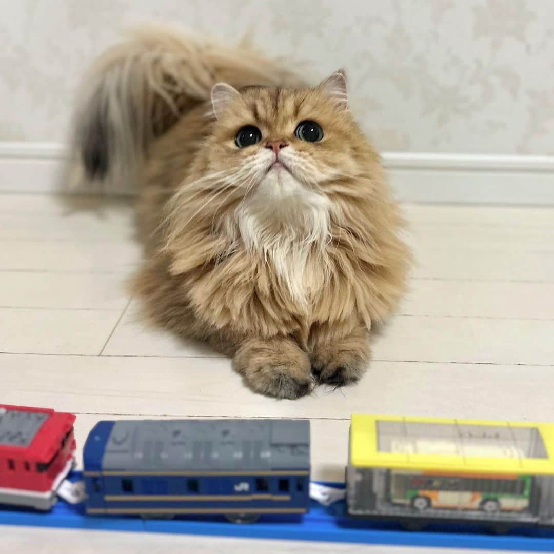 manami☺︎satoのインスタグラム