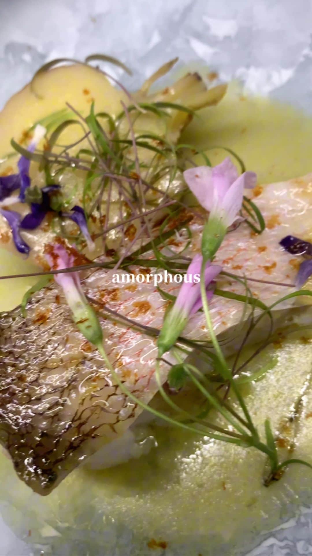 のインスタグラム：「相変わらずGOLD PANDAカッコいいね 佐藤シェフの料理のイメージにピッタリな楽曲  #アモルファス #赤坂グルメ #イノベーティブ」