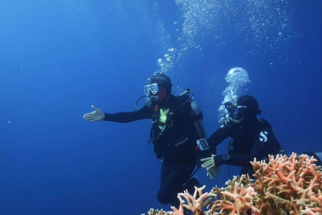 キム・スクのインスタグラム：「난 니모에게 악수를 청했다!!!! #letsgodiving  #bohol」