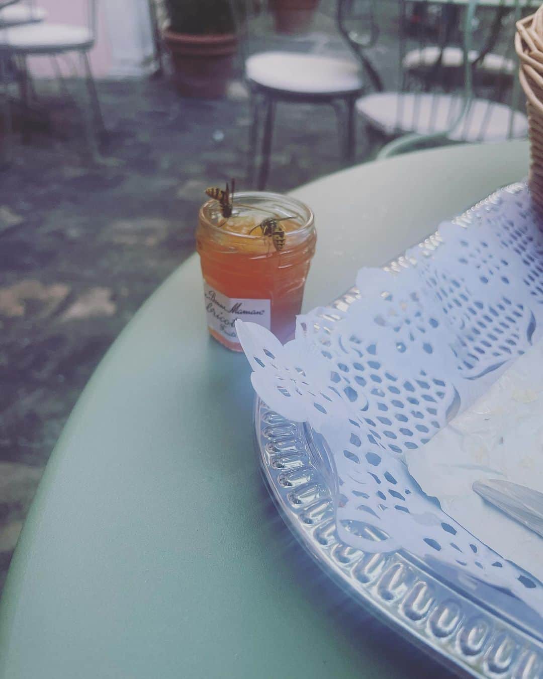 皆川明さんのインスタグラム写真 - (皆川明Instagram)「パリの朝 テラスで朝食を食べていると毎朝、蜜蜂がやってくるから今日はマーマレード開けておいてあげたら友だちも連れてきた。 花の蜜ではないけど良いのかな？」9月7日 14時53分 - akira_minagawa725