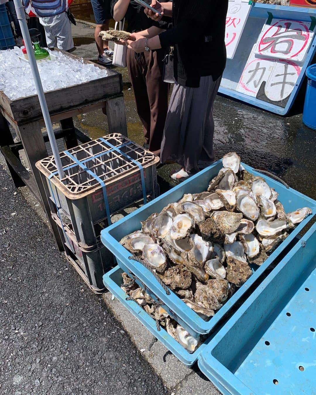 職人.comさんのインスタグラム写真 - (職人.comInstagram)「【那珂湊おさかな市場で天然の岩牡蠣を】   岩牡蠣の旬は夏。牡蠣というと冬のイメージが強いですが、それは真牡蠣と呼ばれる種類の話。夏に食べる岩牡蠣はなんといっても大きく弾力があり、生で食べるのにぴったりなのです。   日本国内で流通する牡蠣は、大きく分けて11～4月ごろの冬が旬の「真牡蠣」と、6～9月ごろの夏が旬の「岩牡蠣」の2種類です。この2つは育ち方や産地、味などすべてに違いがありますが、なかでも特筆すべき違いはその大きさです。殻が薄く小ぶりな分、凝縮されたようなクリーミーさや甘みを味わうことができる真牡蠣に対して、岩牡蠣は大粒でボリューミー、殻も大きく、まさに岩のようにゴツゴツしています。   茨城県ひたちなか市にある「那珂湊おさかな市場」は、那珂湊漁港前に直線で300ｍの間に海産物店と食事処が軒を連ねる観光市場です。その日獲れたばかりの新鮮な魚介類を良心価格で販売していることから、年間利用者は約100万人にものぼります。この市場について調べていたお盆は、まさに茨城の岩牡蠣の旬真っ只中。そうと知ったら行かないわけには行かず、東京から約2時間車を走らせて行ってきました。   午前中に到着したにもかかわらず、すでに人でにぎわい活気にあふれています。まずは、市場内にあるお手頃に新鮮で大きなネタを食べられることで有名な回転寿司「市場寿し」へ行きお腹を満たし、いよいよ牡蠣です。市場を歩くと牡蠣だけでもさまざまな看板が目に入りますが、せっかくここまで来て悔いは残したくなかったため、「極上」「天然」「特大」とやたらすごそうな言葉が並べられた岩牡蠣に決定。店頭には、食べ終わった人が入れていった殻の山があり、太陽の光が反射してキラキラと輝いています。   岩牡蠣を注文すると、その場で殻をむいて流水で丁寧に洗い手渡してくれます。氷が敷き詰めてある台の上でレモンとポン酢を少しかけ、いざ実食。改めて食べる前になると、果たして一口でいけるのか不安になるほどの大きさですが、一滴もうまみを逃したくないためここはやはり気合いで、殻を勢いよく傾け、口の中に身を滑らせます。その瞬間に、雑味のない透明な海の香りが口いっぱいに広がり、身を噛むとプリッとした食感で、牡蠣らしいクリーミーさがありつつもさっぱりとした味わい。「おいしい～」と取り急ぎ表情だけで会話しながら、口はしっかりと味わうことに集中。冷たくて、大きくて、一口でいくと口の中に海が広がったよう。なくなるのが惜しいなと思いながら飲み込みました。   アンコウやヤリイカの干物やみりん干しなども有名な那珂湊おさかな市場ですが、天然の岩牡蠣はぜひ食べていただきたいです。関東で新鮮な牡蠣を味わえる場所はとても貴重だと思うので、近くに行かれた際は足を運んでみてください。  那珂湊おさかな市場 http://www.nakaminato-osakanaichiba.jp/ ショールームのご案内 https://www.shokunin.com/jp/showroom/  参考資料 https://www.city.hitachinaka.lg.jp/business/kankoshinko/1002713/1002719.html https://www.knt.co.jp/goto/miryoku/kanto/bimi002.html https://travel.navitime.com/ja/area/jp/spot/02301-2900416/ http://www.oarai-kaisen.com/ichiba/season/summer/index.html https://www.ibaraki-shokusai.net/brand/iwagaki/ https://uopochi.jp/info/faq/kaki-shun/  @shokunincom  #職人ドットコム #京都市 #上京区 #中京区 #西陣 #キッチン用品 #調理道具 #調理器具 #料理道具 #台所道具 #手仕事 #暮らしの道具 #暮らしを楽しむ #器のある暮らし #焼き物 #生活工芸 #岩牡蠣 #真牡蠣 #生牡蠣 #生ガキ #那珂湊おさかな市場 #那珂湊 #おさかな市場 #市場寿し #新鮮な牡蠣 #那珂湊漁港 #茨城県ひたちなか市 #ひたちなか #茨城県 #ひたちなか市」9月7日 15時38分 - shokunincom