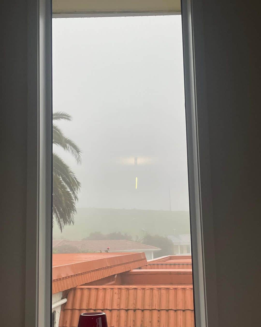 中島早貴さんのインスタグラム写真 - (中島早貴Instagram)「ここ最近天気が良くなくて もうずーっとこんな感じで寝ていたい気分🐨🌿  The weather hasn’t been good lately.I feel like sleeping like this koala ♡  #語学留学生 #NewZealand #NZ #アウトプット日記」9月7日 15時44分 - saki__nakajima__uf