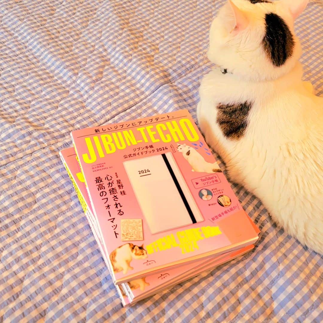 hoshino katsuraさんのインスタグラム写真 - (hoshino katsuraInstagram)「9月11日発売のジブン手帳2024ガイドブック見本誌が届きましたーー！！⁡ ⁡⁡ ⁡私とサンチョロを取材していただいた記事が掲載されております！⁡⁡ ⁡デビュー本だ！デビュー本だ！(狂喜乱舞) ⁡⁡ それ以外にもたくさんのジブン手帳の使い方が載っていて、楽しい一冊となっておりました⭐ ⁡⁡ ⁡さんちゃんは届いた見本誌をペロペロ舐めてました！可愛いーーー！！⁡ ⁡チョロは····チョ、こらチョロ！ケツに敷くのはやめなさい！！！⁡ ⁡⁡ ⁡2人ともとても気に入ったようです！⁡ ⁡⁡ ⁡⁡ ⁡#ブング沼暴走族 ⁡ ⁡#ジブン手帳⁡ ⁡#ジブン手帳ガイドブック⁡ ⁡#手帳⁡ ⁡#手帳沼⁡ ⁡⁡ ⁡#teko家卒猫 #下半身不随猫三太 #下半身不随猫チョロ #サンチョロ #哀れなリスナーにサンチョロの祝福を #下半身不随猫 #下半身不随猫と暮らす #圧迫排尿猫 #圧迫排尿  #cat #rescuecat #ねこ #保護猫 #負傷猫 #熊本市動物愛護センター出身 #teko家の犬猫たち#花の木シェルター」9月7日 16時08分 - katsura_5600