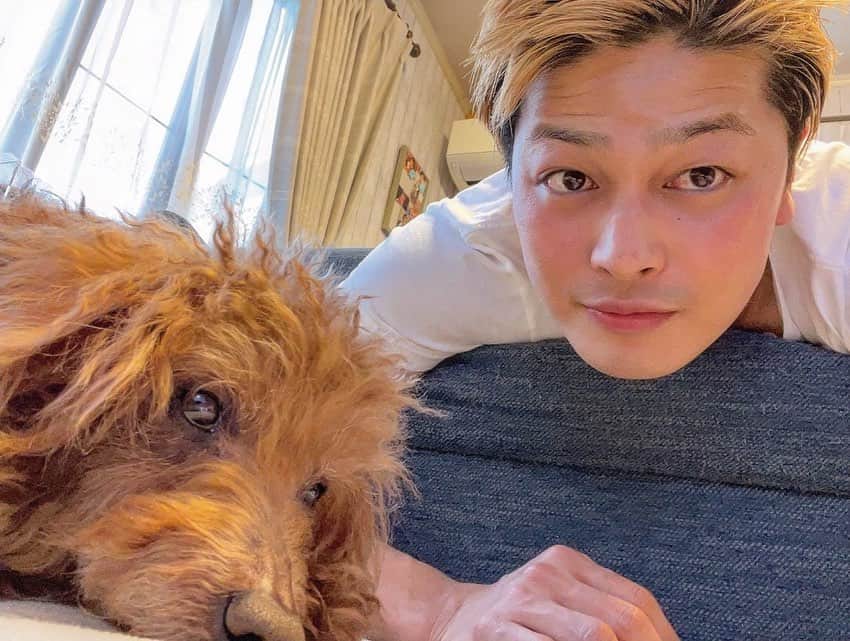 舘野将平のインスタグラム：「トラ今まで有難う。ゆっくり休んでね…。 ずっと愛してるし、忘れないからね。 トラの分も強く生きるよ。  #20240907 #13年間ありがとう #昨日は夢に出てきてくれてありがとう」