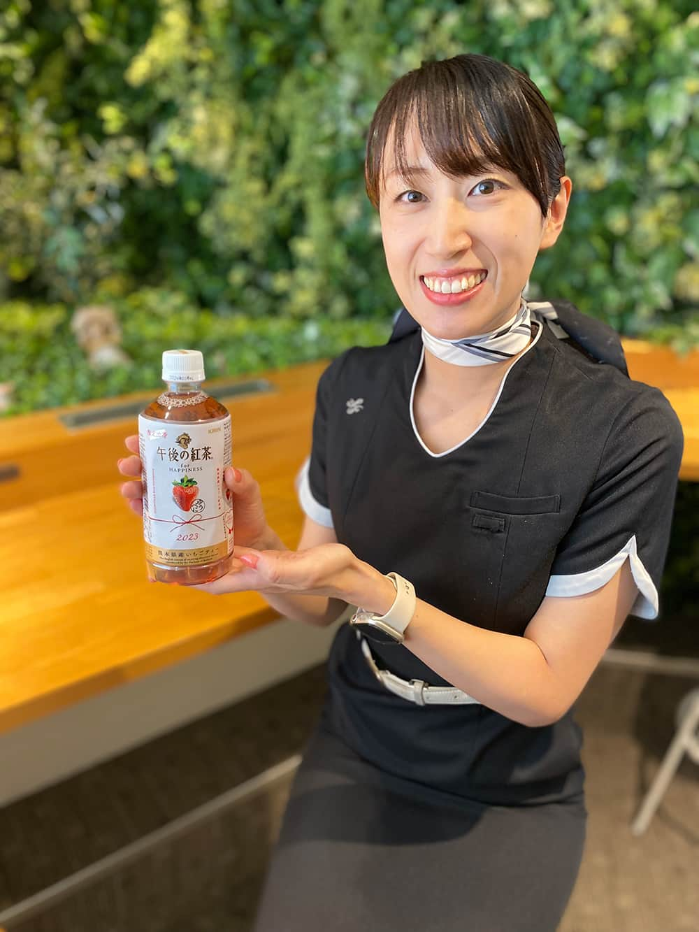 スターフライヤーのインスタグラム：「【NEW季節ジュースのお知らせ】 皆さん、こんにちは！ 9月より季節限定ジュースが変更になりました！  好評をいただいていた「TULLY’S ＆TEA レモンティー＆モヒート」に代わり、9月から「キリン 午後の紅茶 for HAPPINESS 熊本県産いちごティー」を提供中です🍓 熊本県産いちご「ゆうべに」と熊本県産茶葉を使用した特別なフルーツティーです☕ 「午後ティーHAPPINESSプロジェクト」として、熊本県復興支援へ売上の一部を寄付し、今年で３年目を迎えます。 「あなたのおいしいが、誰かへの応援になる。」 特別な午後の紅茶を機内でどうぞお楽しみください✨  定番ドリンクは勿論のこと、季節限定ドリンクも自信を持ってオススメです！  ☟機内サービス https://www.starflyer.jp/inboard/amenity/」