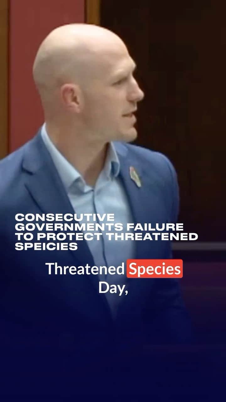 デビッド・ポーコックのインスタグラム：「Today is Threatened Species Day. A reminder that many of 🇦🇺 unique ecosystems and wildlife are at risk of being lost forever.   Australians love Nature but our politicians are failing to protect threatened species.   We need leadership & enough funding to protect them.」