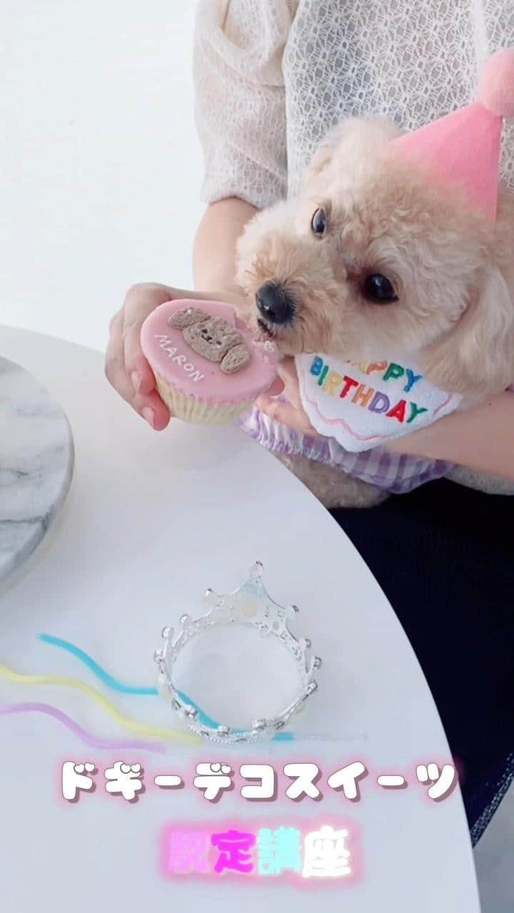 のインスタグラム：「. ＼愛犬のためのスイーツ講座／  わんちゃんが夢中で食べる🐶 栄養満点・安心な材料で 可愛いスイーツを作りませんか？  アイシングクッキー・カップケーキ・似顔絵ケーキ・3Ｄケーキ・バースデーケーキなど、　 愛犬の記念日を彩るスイーツ作りを学べる講座です。　  初心者も、大歓迎♡ みんなで可愛いわんちゃんの ケーキを作りましょう🐕🎂  ☑︎東京・名古屋・芦屋・福岡・オンラインで開催 ☑︎最短1日で資格取得 ☑︎好きな犬種で作れる ☑︎砂糖・小麦粉・牛乳不使用 ☑︎販売や教室開講が可能 ☑︎副業におすすめ」