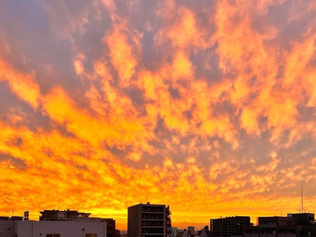 しおやてるこのインスタグラム：「久しぶりにキレイに焼けてる空を見てきた #夕焼け雲 #夕焼け  #空が好き」