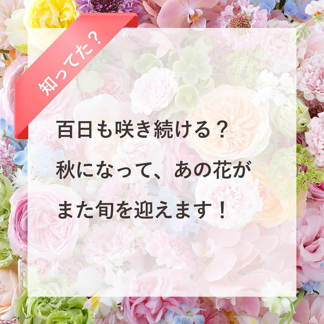 雑誌『花時間』のインスタグラム