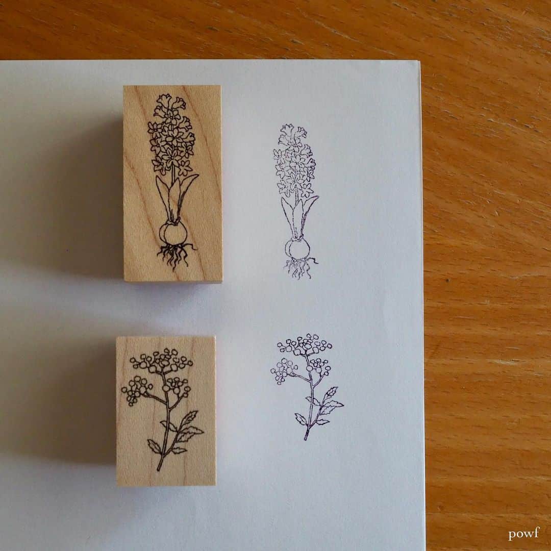 anemone_69のインスタグラム：「. . どれも可愛くて なかなか選べず 迷って迷って買った 植物のハンコ✤ . . .」