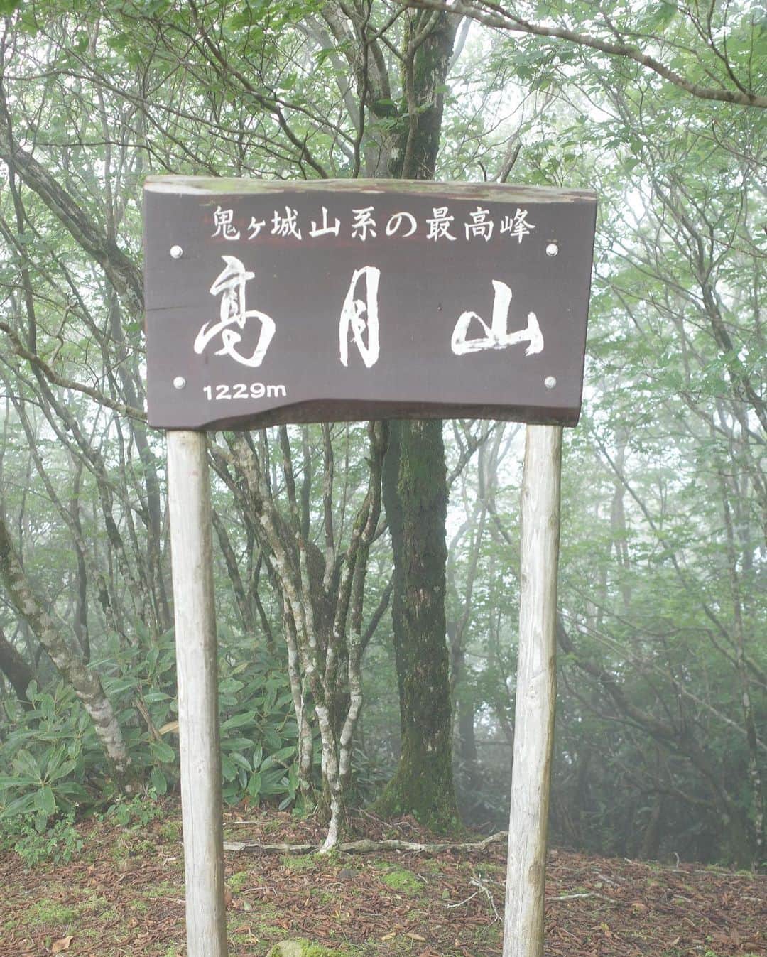Asano Minamiさんのインスタグラム写真 - (Asano MinamiInstagram)「この間の登山⛰️🥾 途中からきのこばっかり探してた🍄 山頂での楽しみを見つけたい！カップラーメン？」9月7日 18時54分 - minami_asano